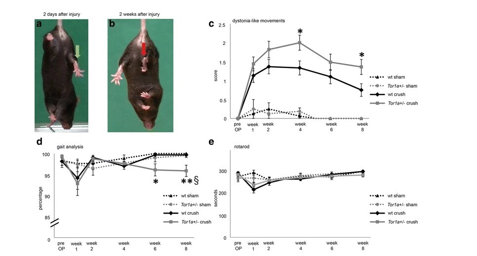 7cd423464051a7db2c3d11e20b2a5732_1761966882_0626.jpeg 7cd423464051a7db2c3d11e20b2a5732_1761966882_0626.jpeg