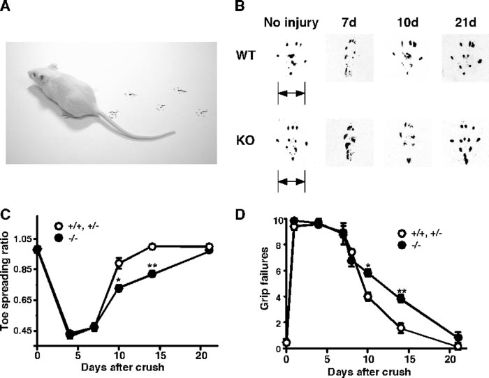7cd423464051a7db2c3d11e20b2a5732_1761966883_6407.png 7cd423464051a7db2c3d11e20b2a5732_1761966883_6407.png