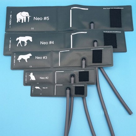 동물용 혈압계 animal  Vet Vascular Doppler