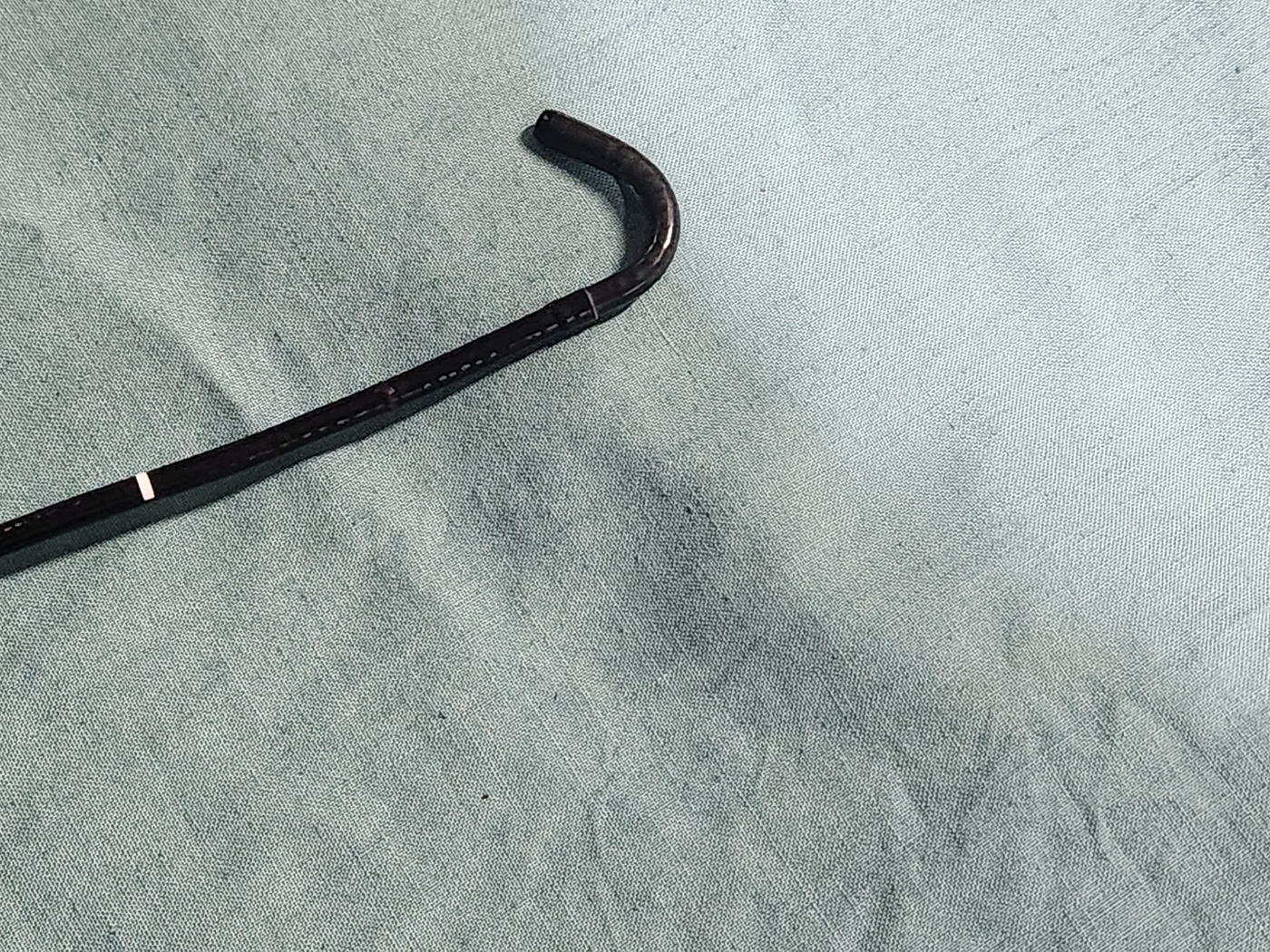 Olympus ENF-VQ Flexible Video Rhinolaryngoscope