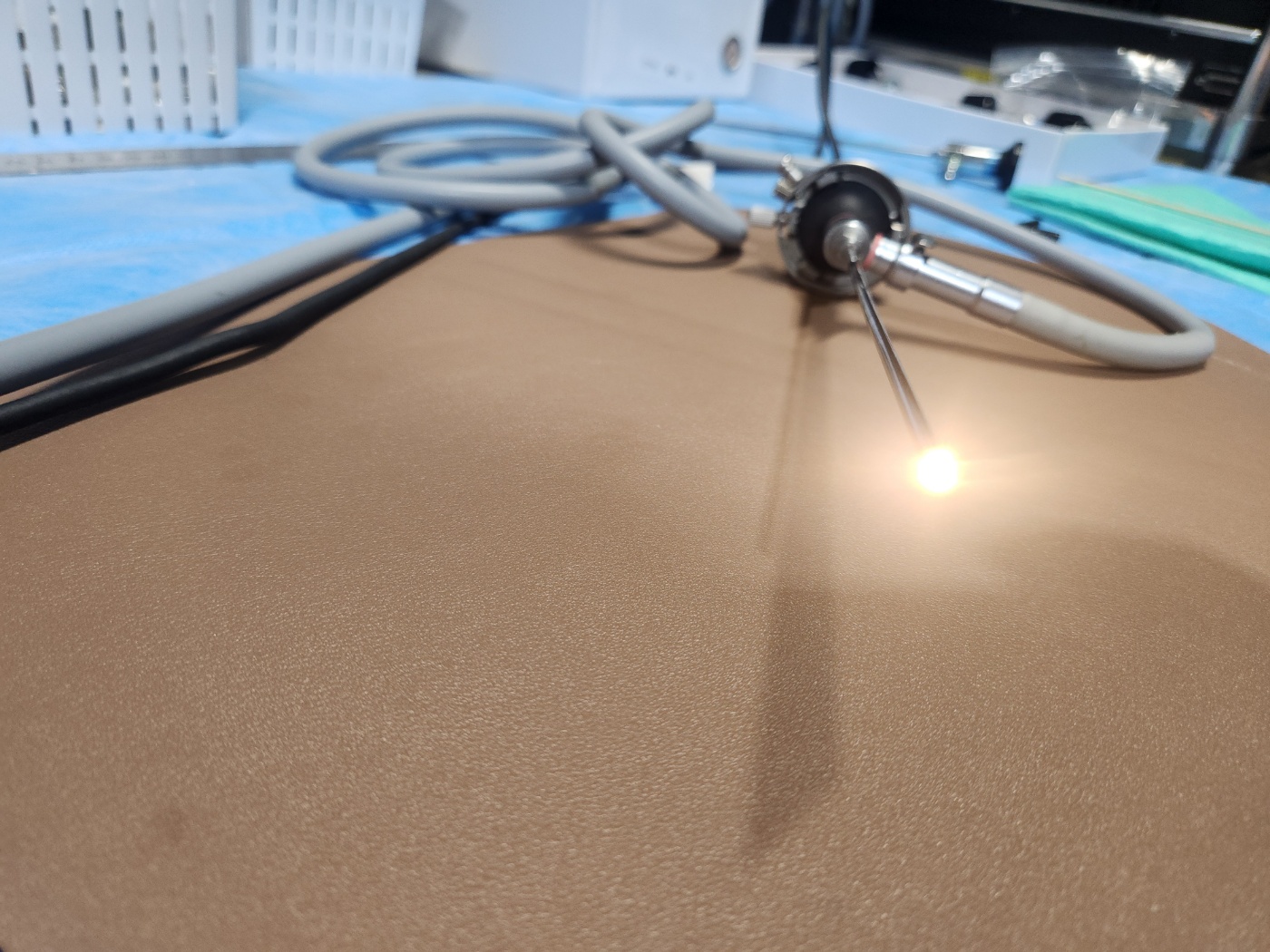 Richard Wolf  Panoview  RIGID ENDOscope
