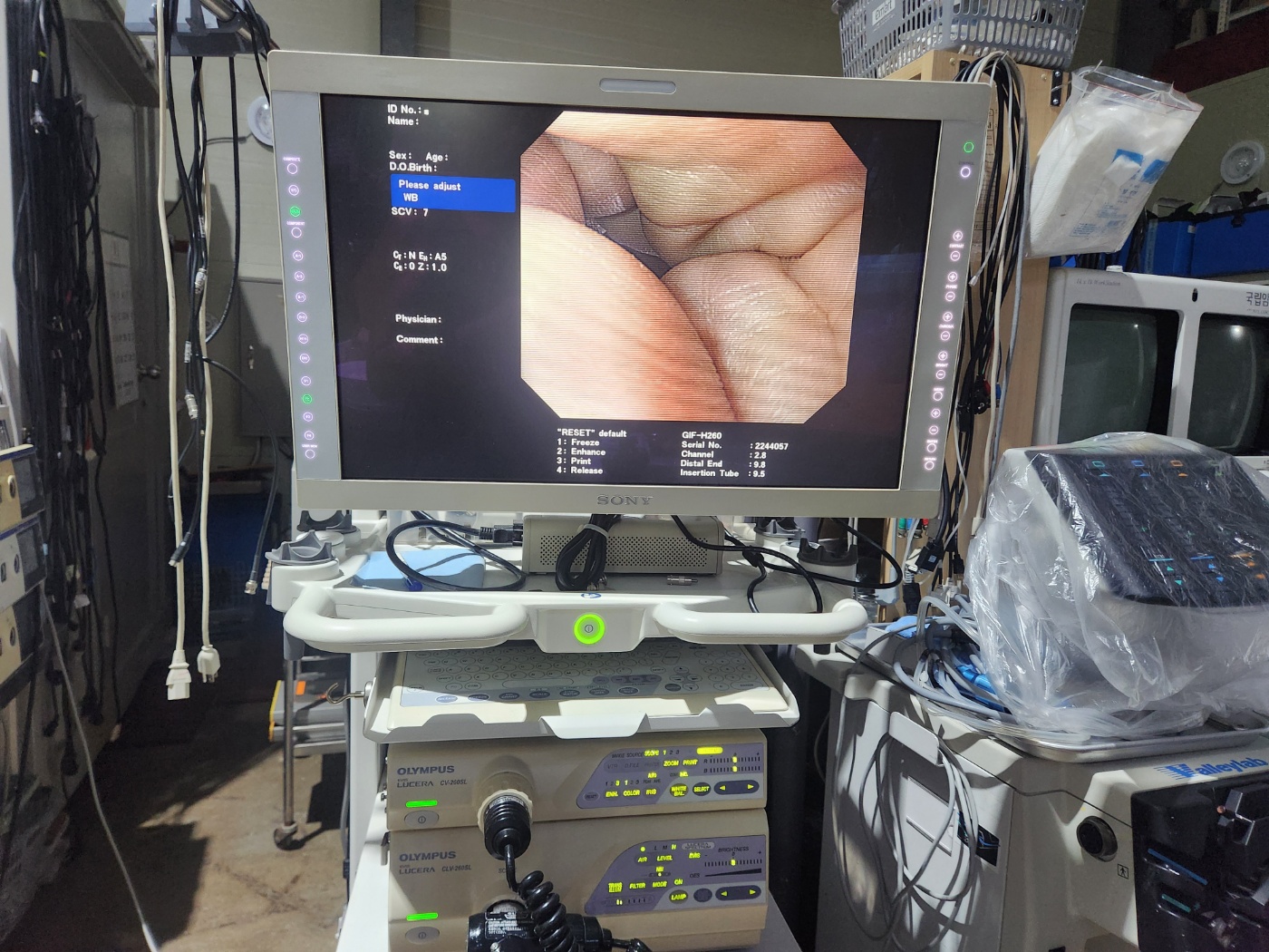 Olympus GIF-H260 Gastroscope