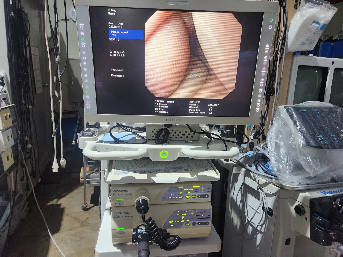 Olympus GIF-H260 Gastroscope