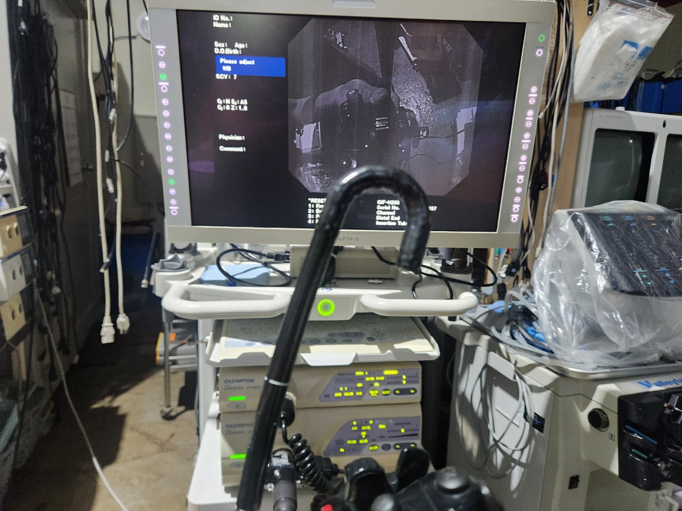 Olympus GIF-H260 Gastroscope